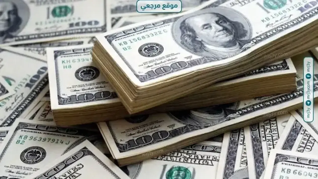 سعر الدولار يبقى مستقرًا في البنوك المصرية عند 49.98 جنيه